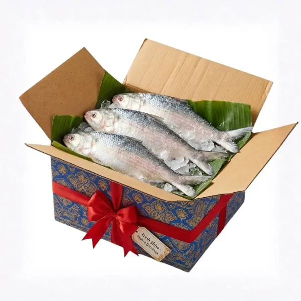 Gift Packs