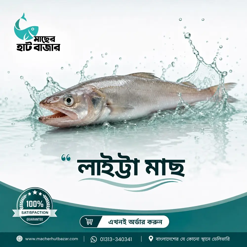 Loitta Fish – সাগরের লইট্টা মাছ