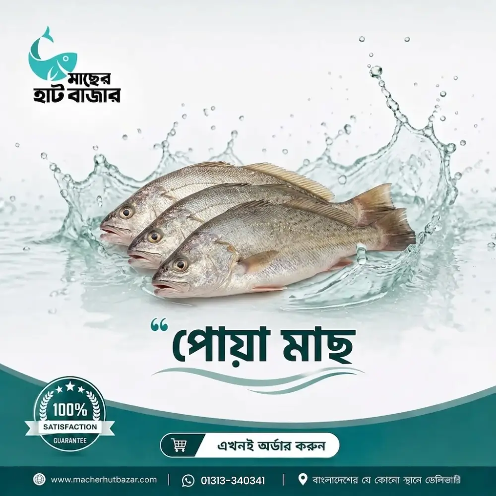 Sea Poa Fish – সাগরের পোয়া মাছ – 1 Kg
