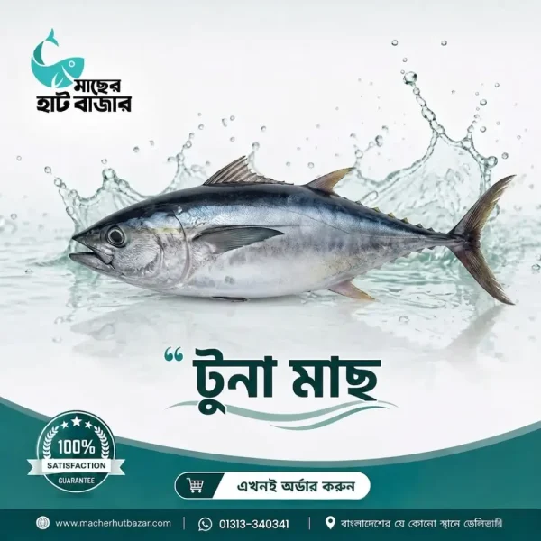 Tuna Fish – টুনা মাছ