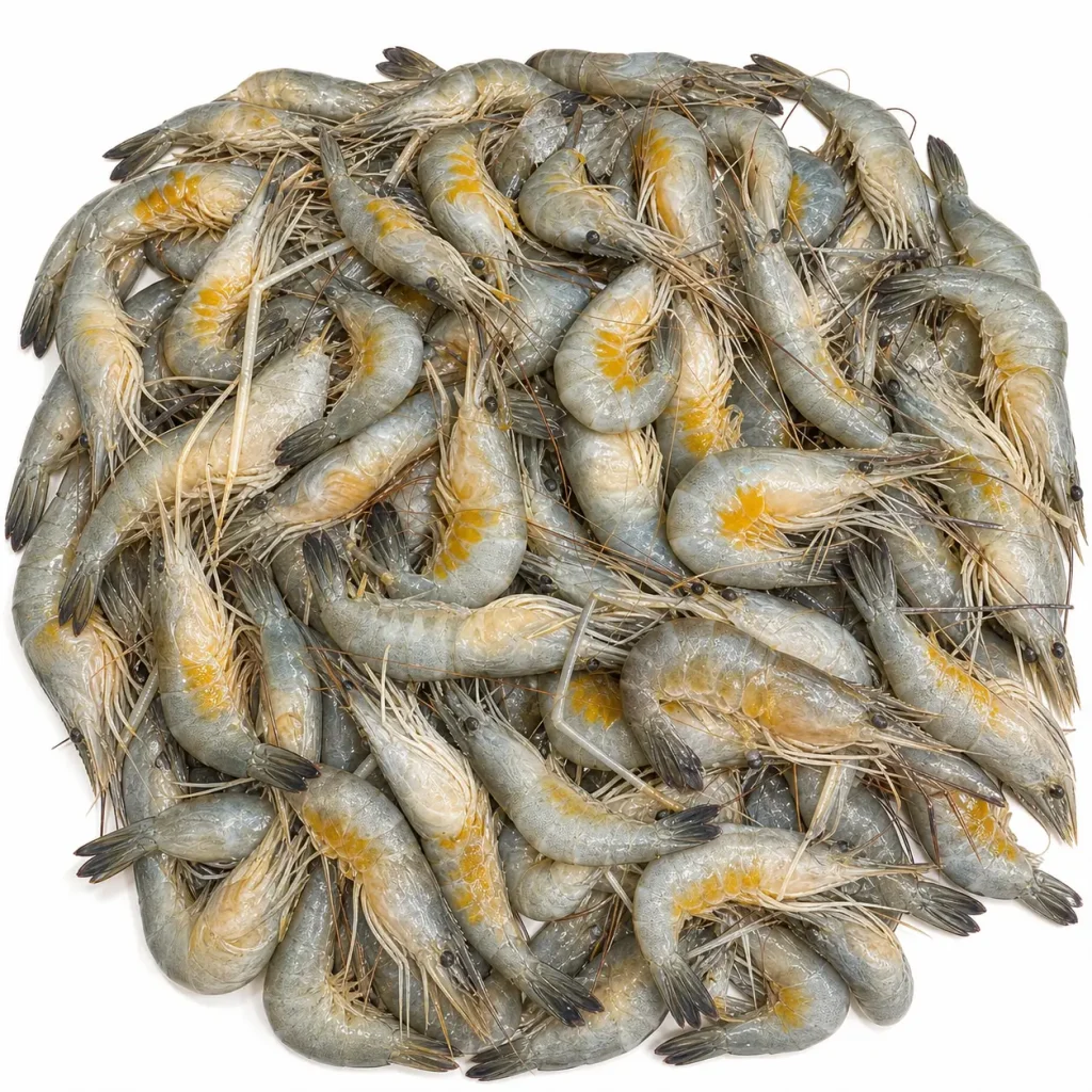 Dima shrimp – ডিমা চিংড়ি