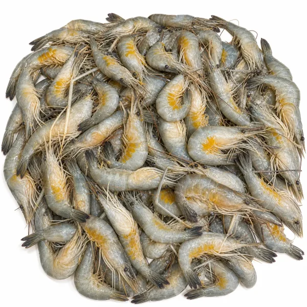 Dima shrimp – ডিমা চিংড়ি