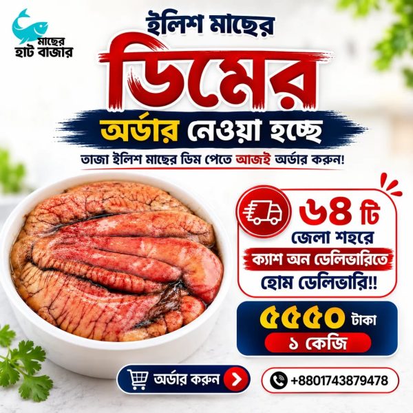 Hilsa Fish Eggs – ইলিশ মাছের ডিম